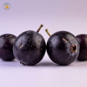 Falsa – Fresh Seasonal Fruit