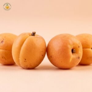 Apricot (Khubani) – Premium