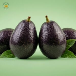 Avocado Fruit – Fresh Premium