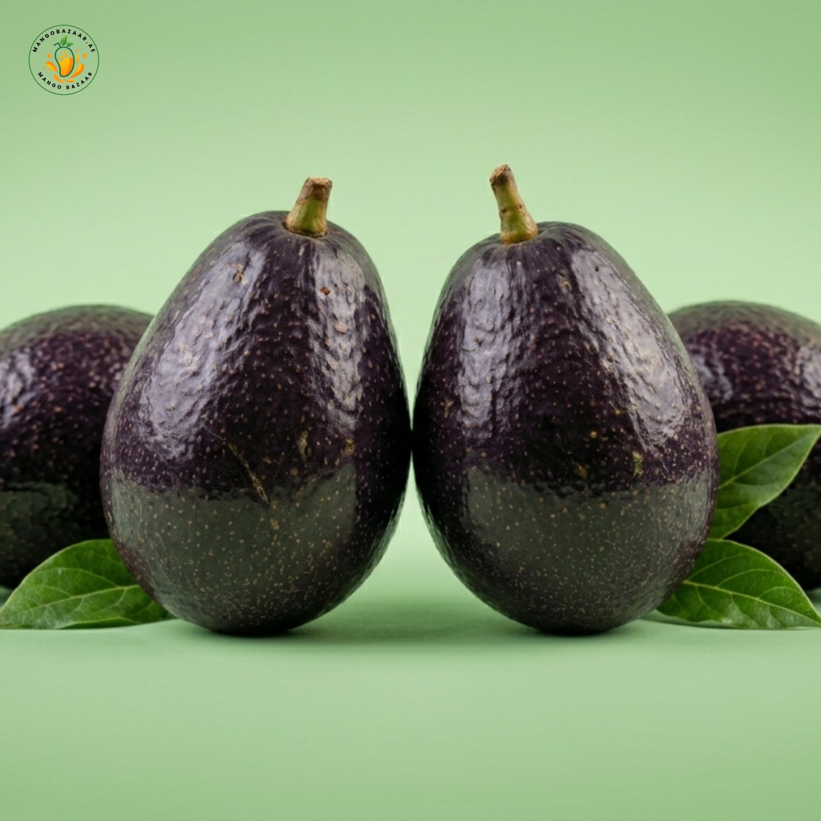 Avocado Fruit – Fresh Premium