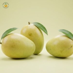 Chaunsa Mango – Premium Quality