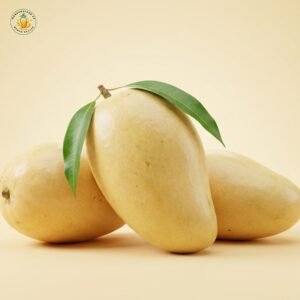 White Chaunsa Mango – Premium Quality