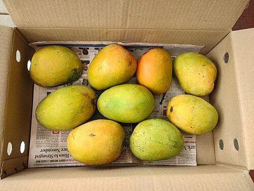 Alphonso Mango – Premium Quality