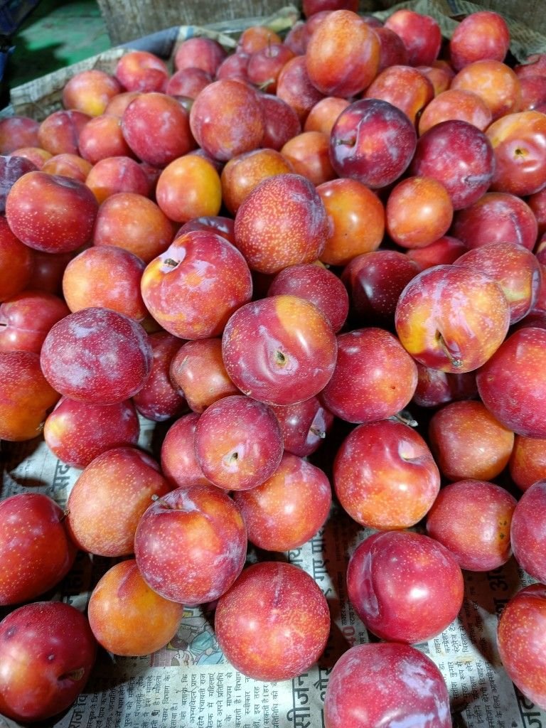 Plum (Alu Bukhara) – Fresh
