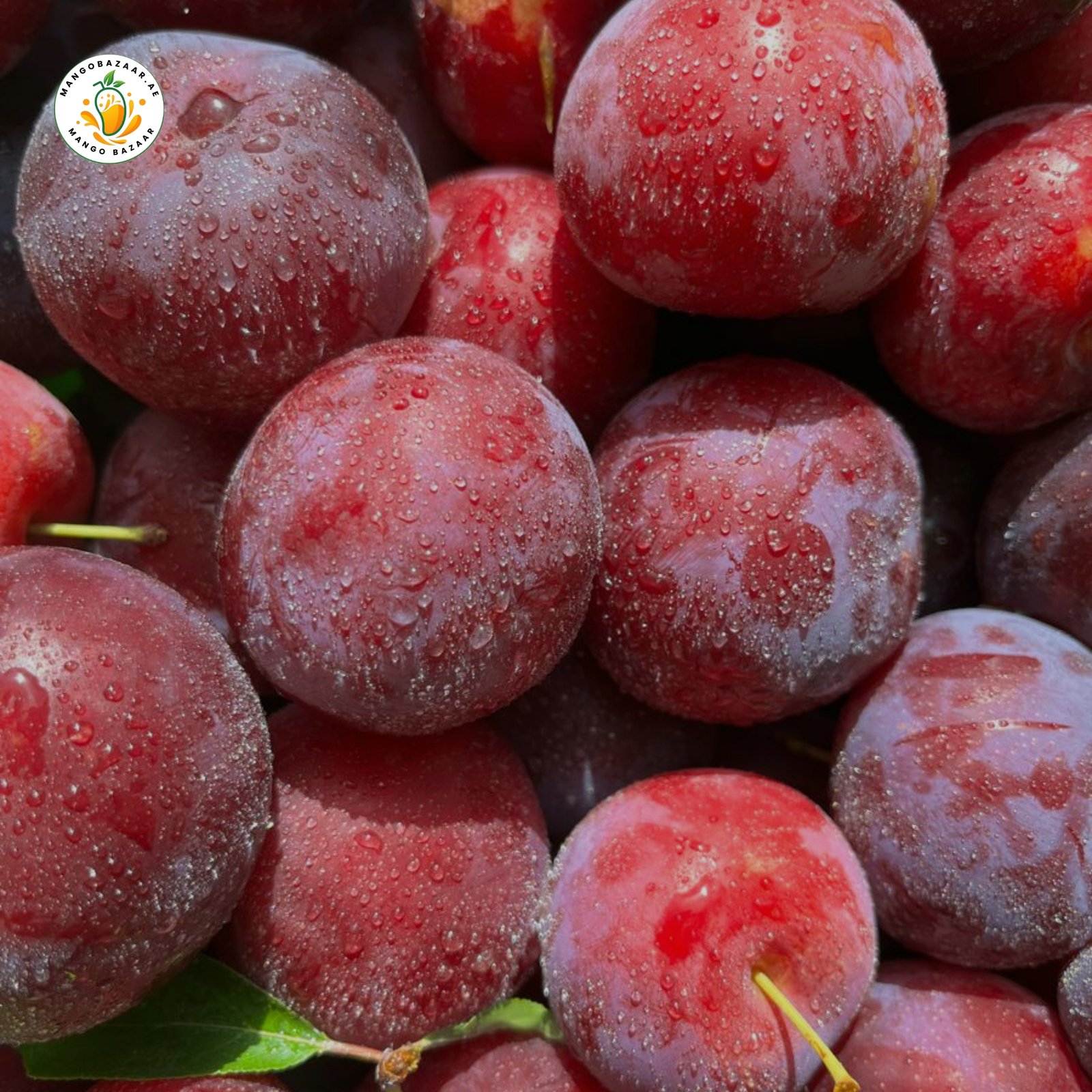 Plum (Alu Bukhara) – Fresh