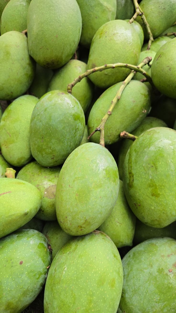 Anwar Ratol Mango – Premium Quality