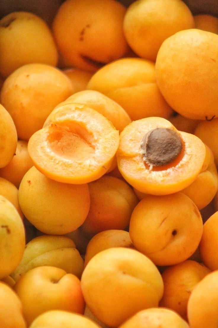 Apricot (Khubani) – Premium