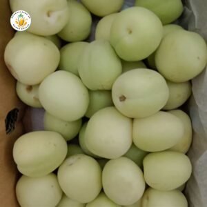 Apricot (Khubani) – Premium