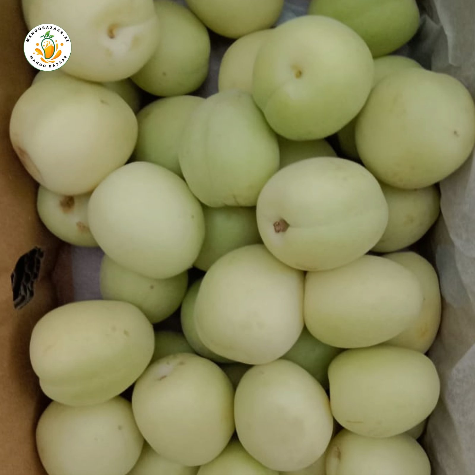 Apricot (Khubani) – Premium