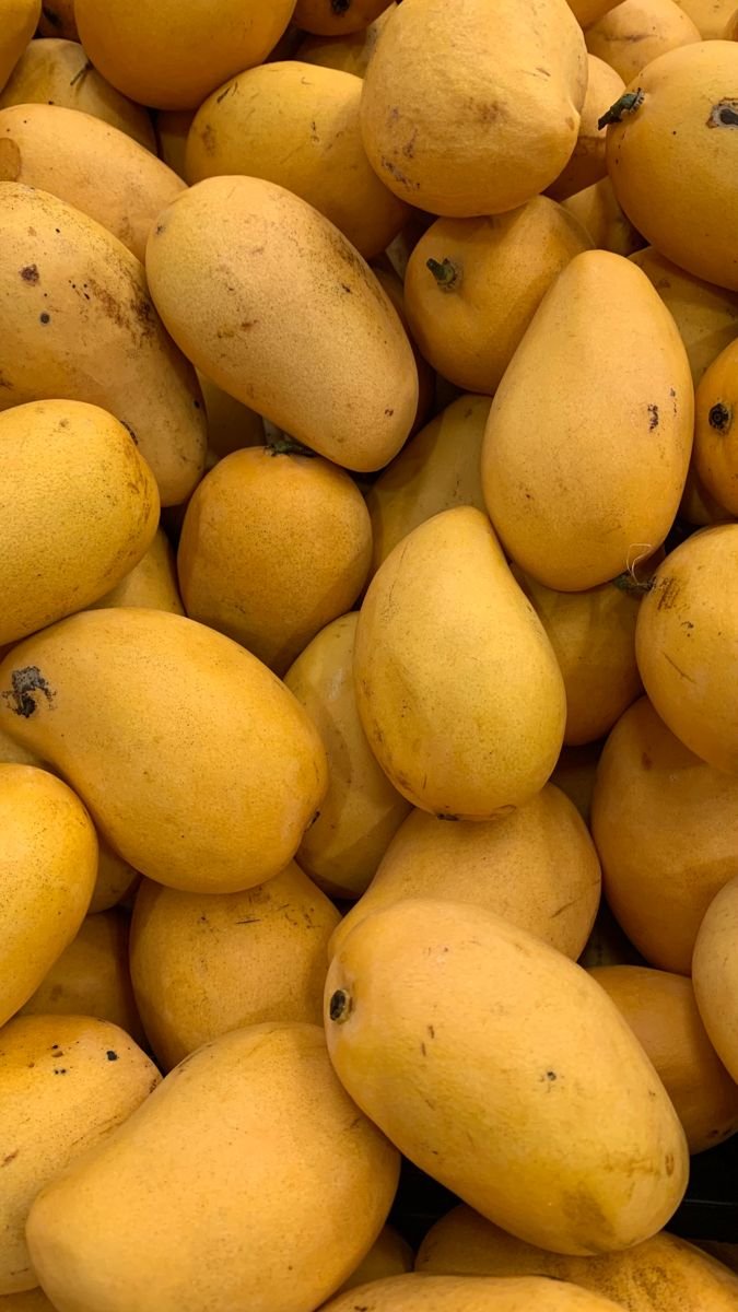 Chaunsa Mango – Premium Quality