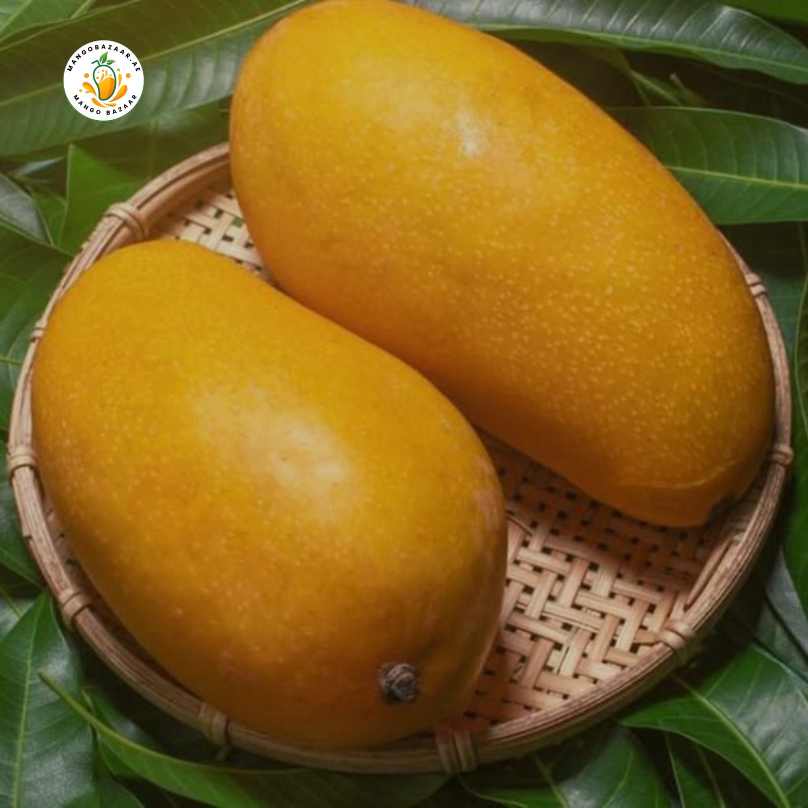 Chaunsa Mango – Premium Quality