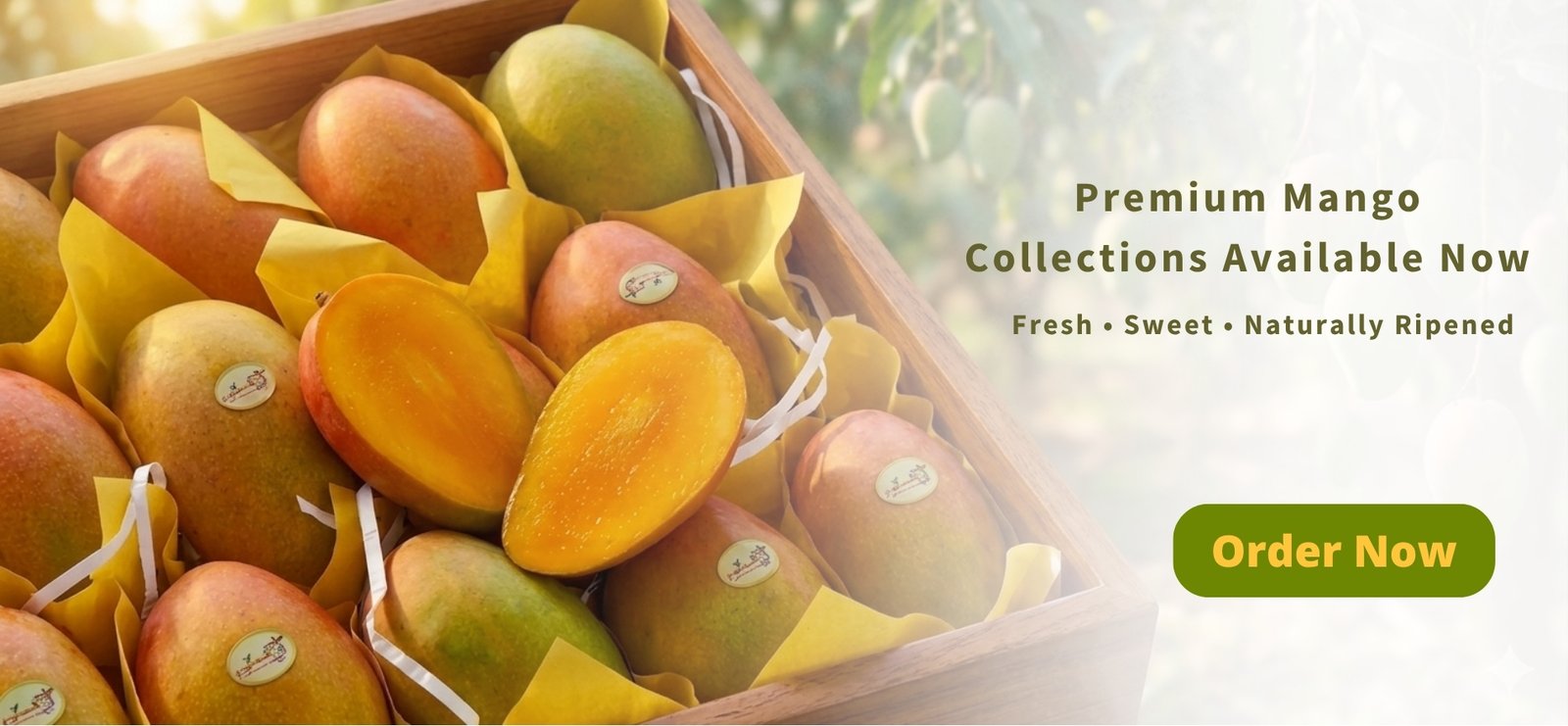Dubai’s Freshest Fruits – Only at Mango Bazar