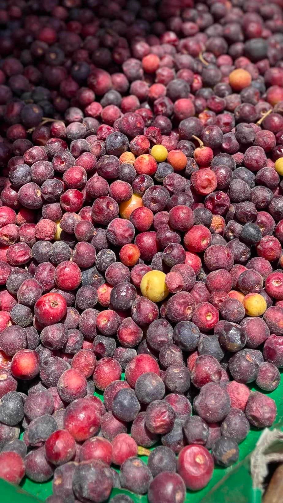Falsa – Fresh Seasonal Fruit