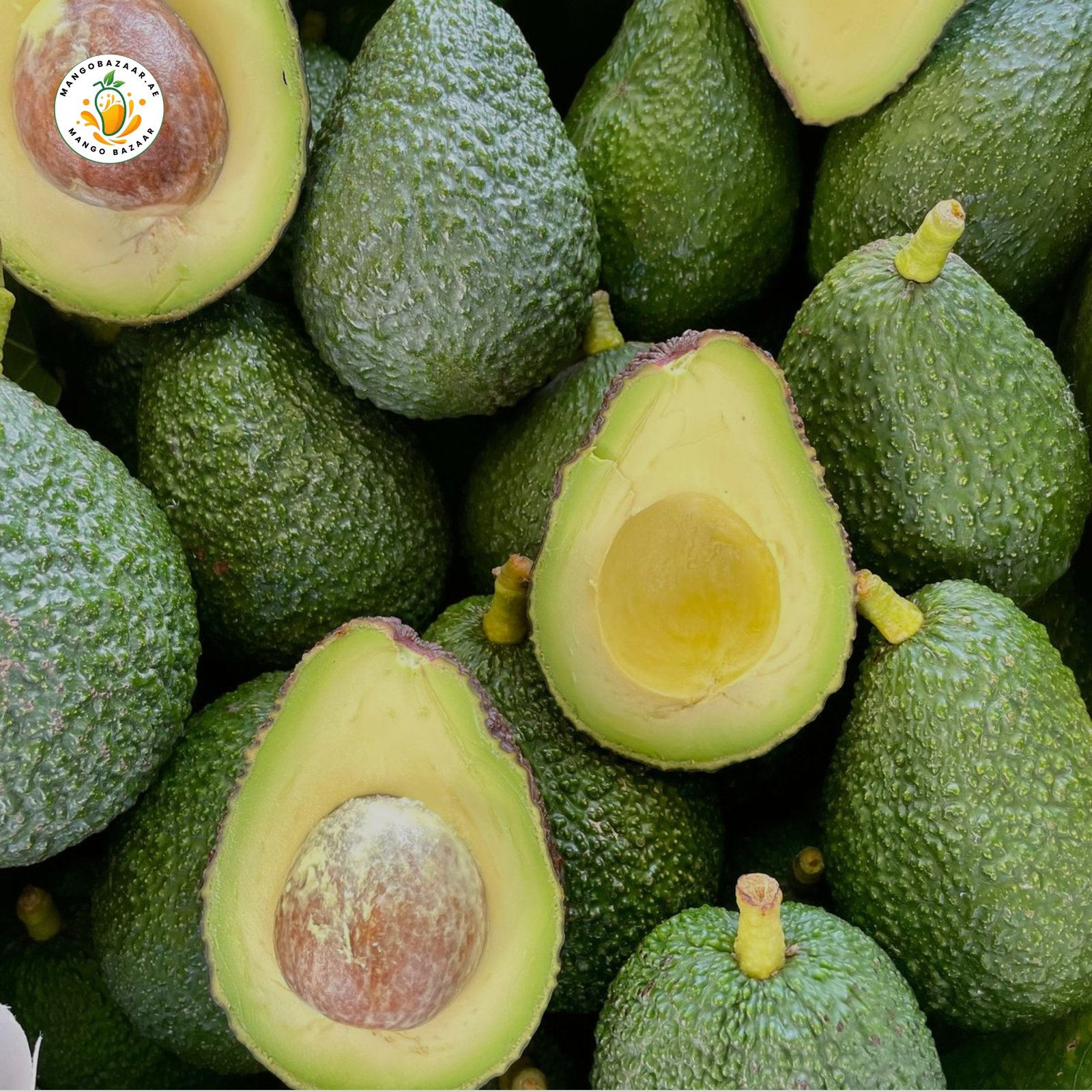 Hass Avocado – Premium Fresh