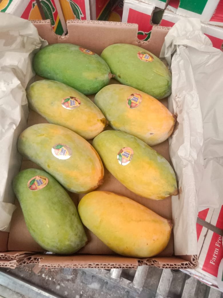 Chaunsa Mango – Premium Quality