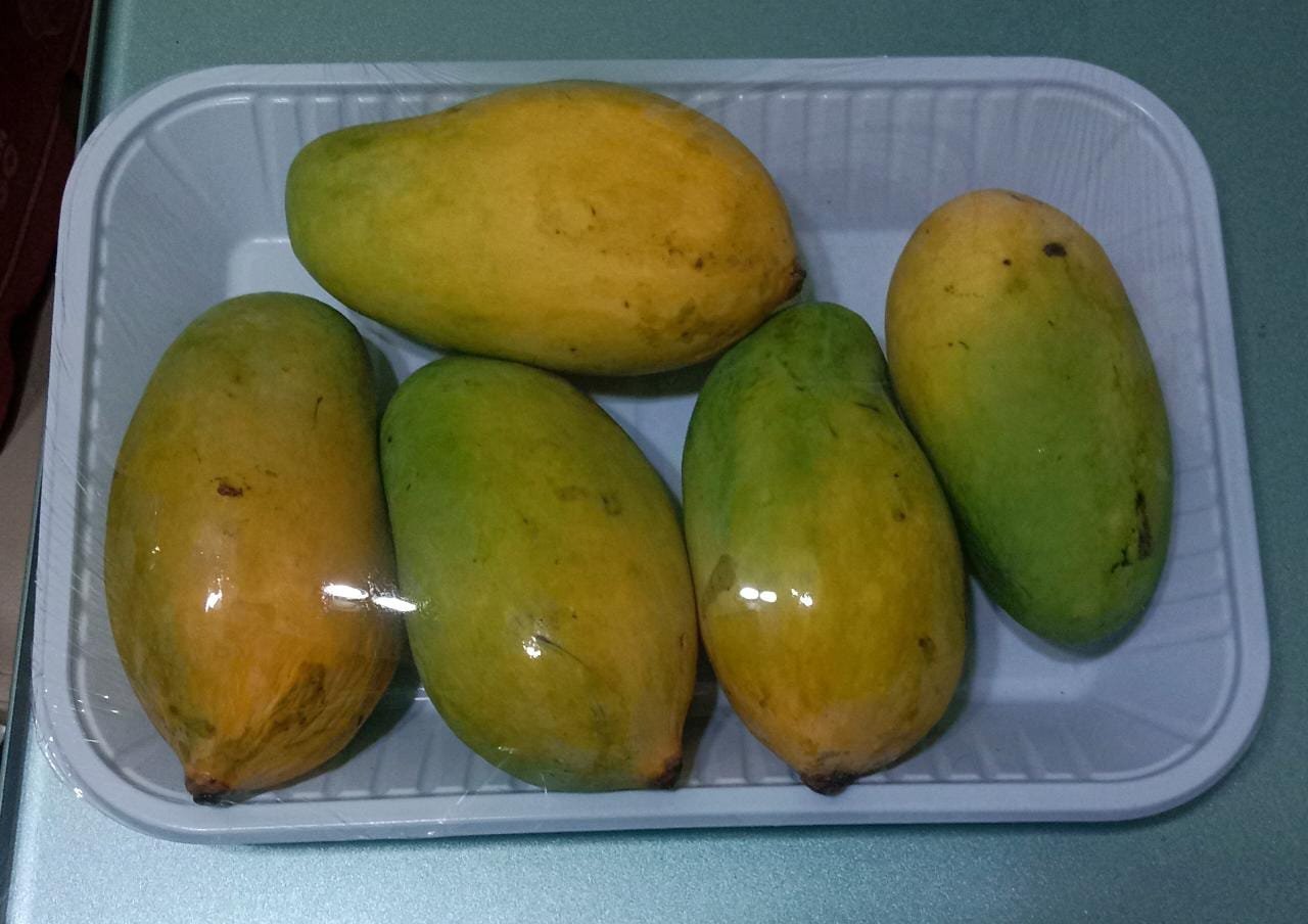 Chaunsa Mango – Premium Quality