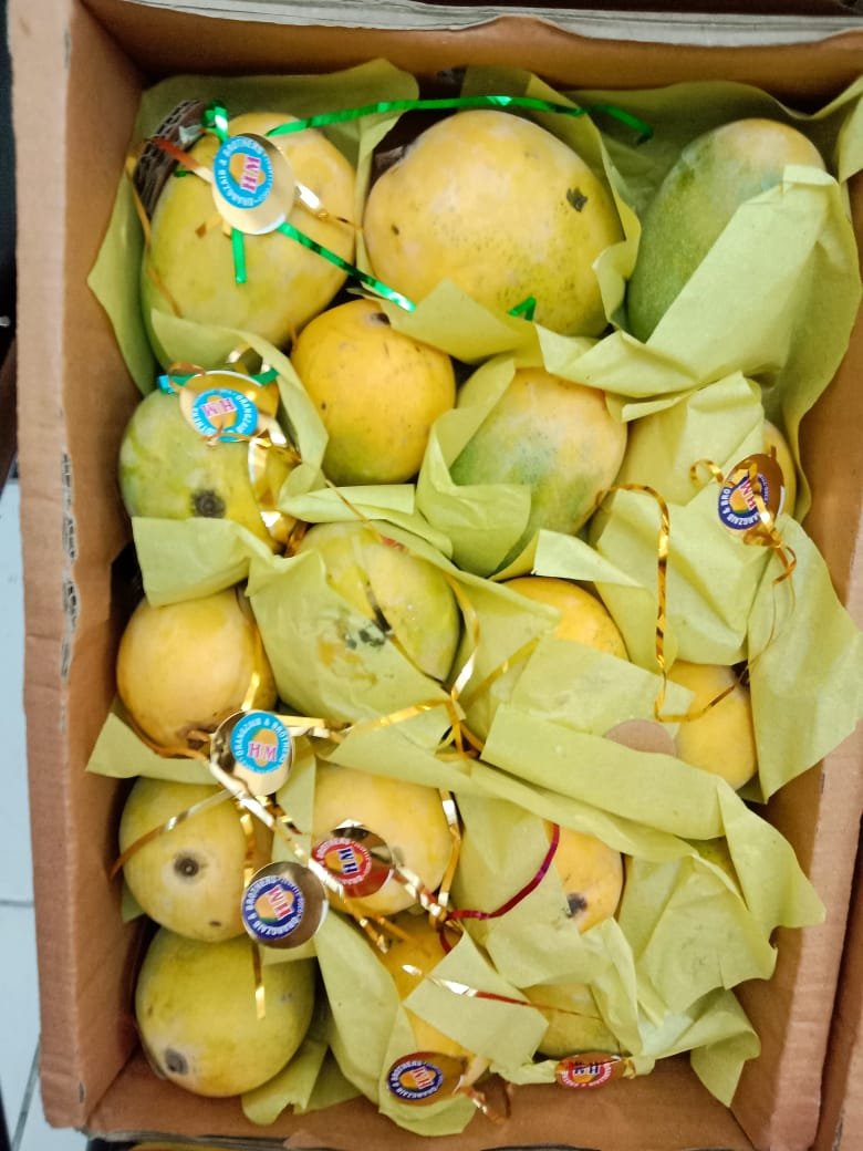 Alphonso Mango – Premium Quality