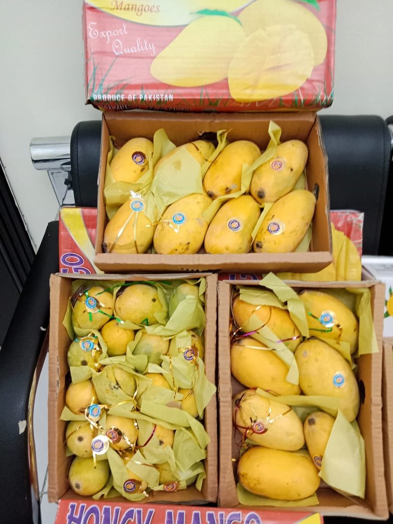 Anwar Ratol Mango – Premium Quality