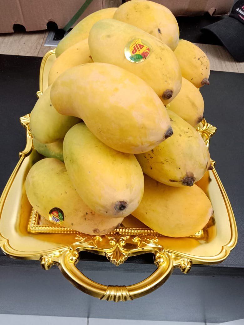 White Chaunsa Mango – Premium Quality