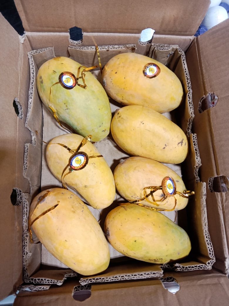 Kesar Mango – Premium Quality