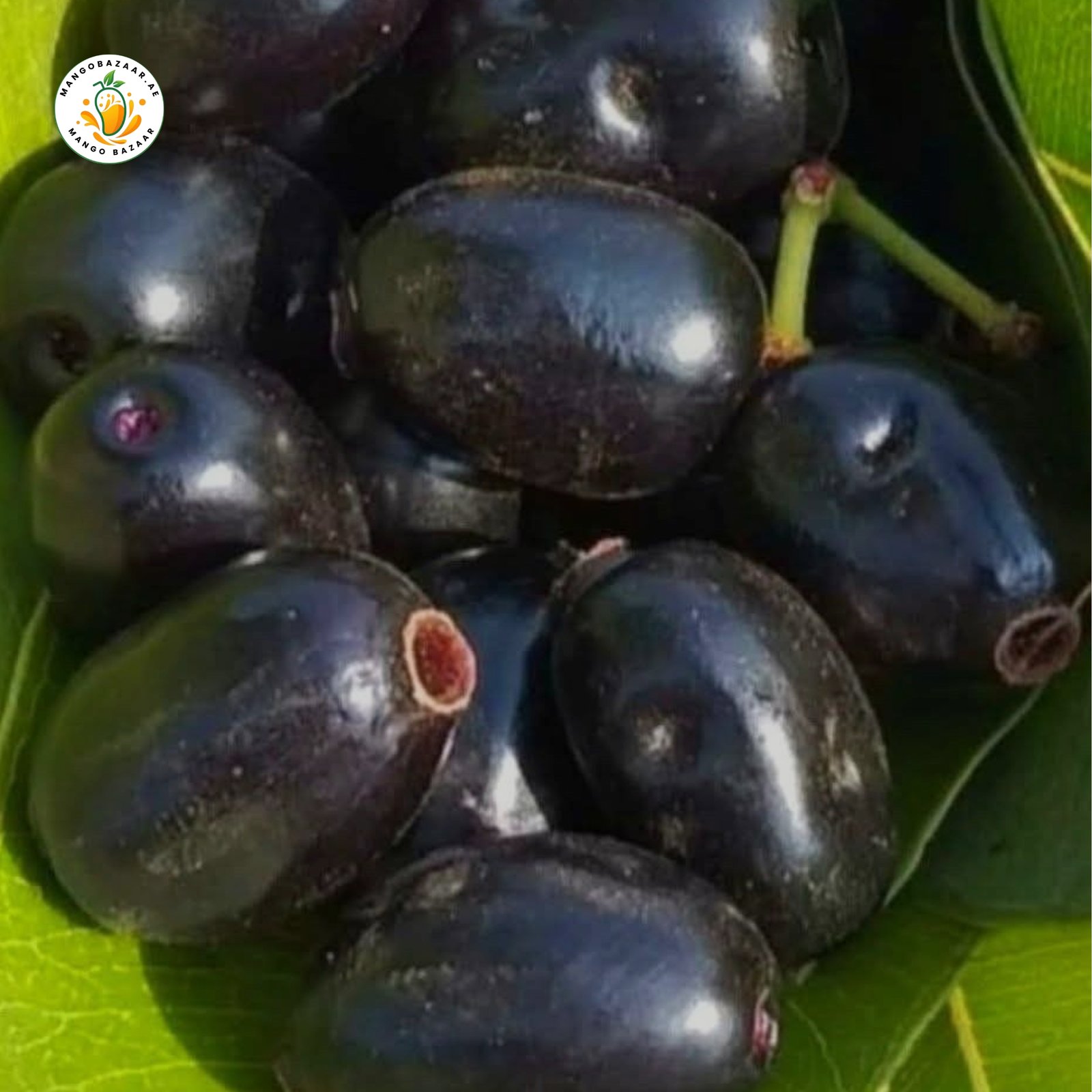 Jamun (Java Plum) – Fresh