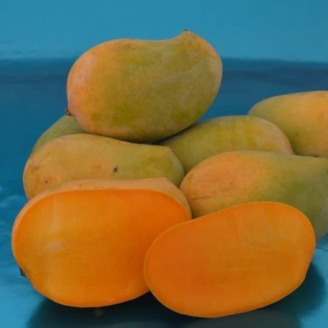 Kesar Mango – Premium Quality