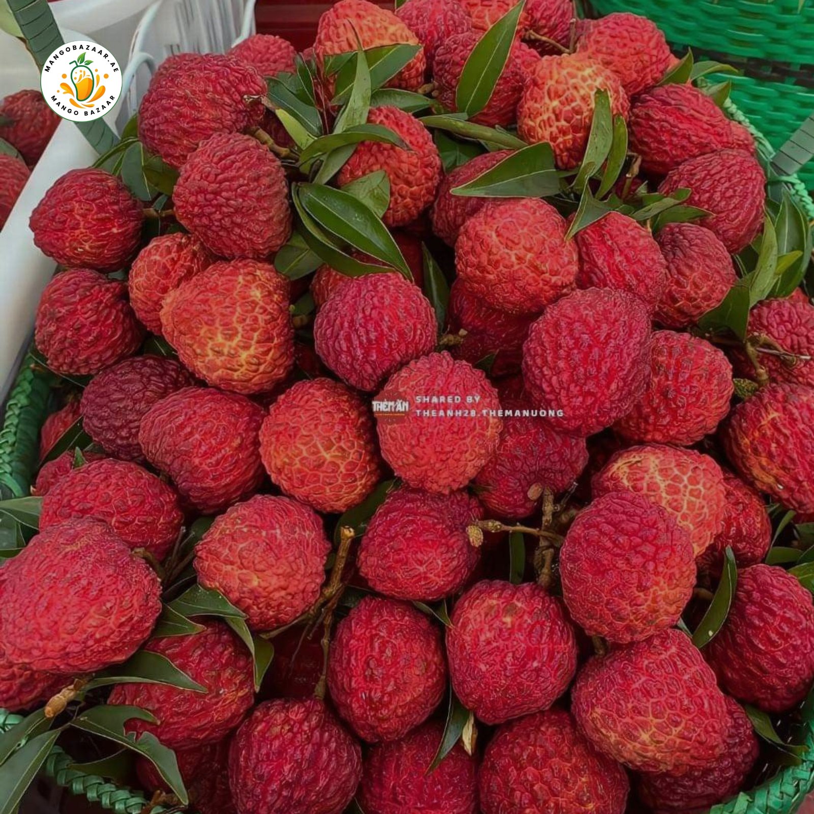 Lychee – Fresh & Premium