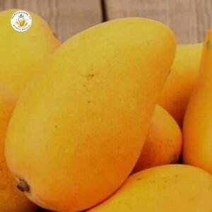 Fresh Mango Box (Premium Quality)