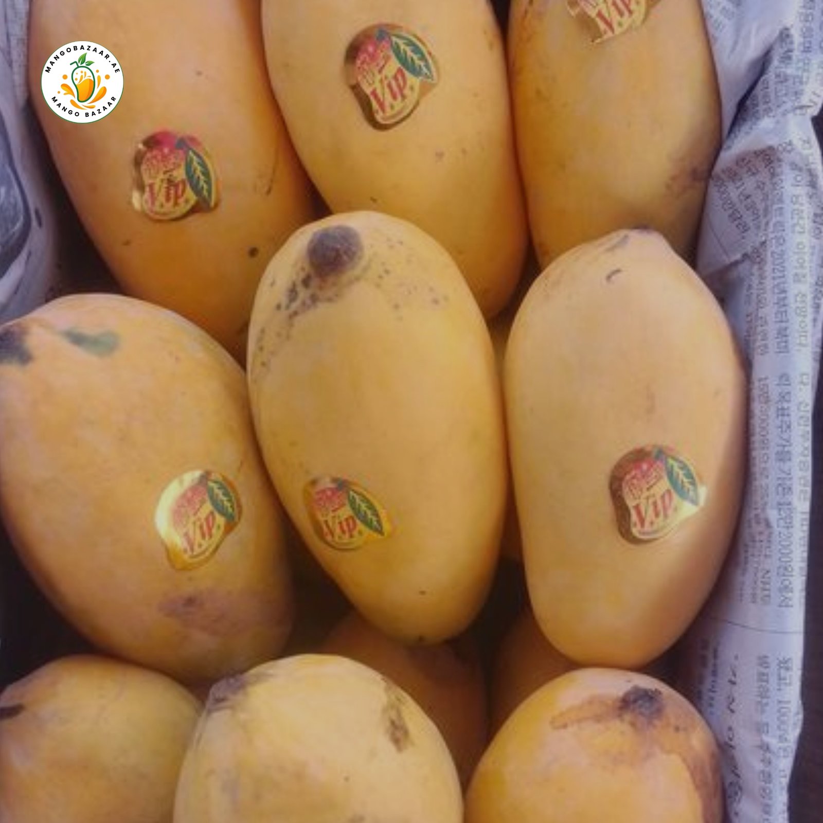 Sindhri Mango – Premium Quality