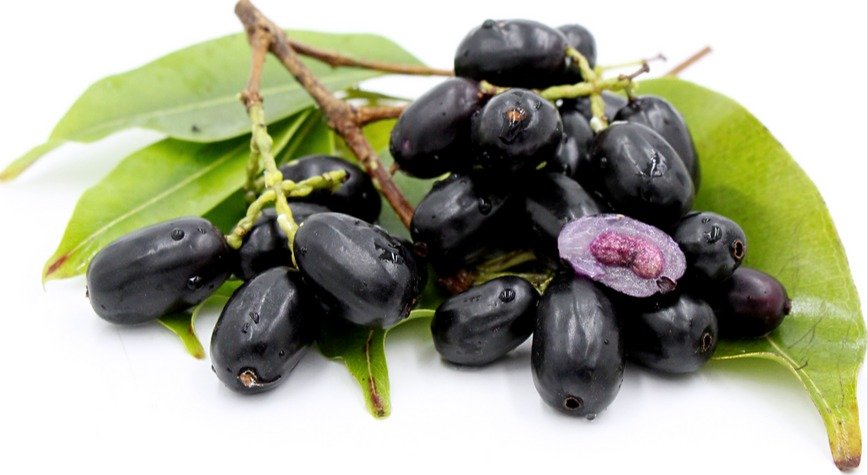 Avocado Fruit – Fresh Premium