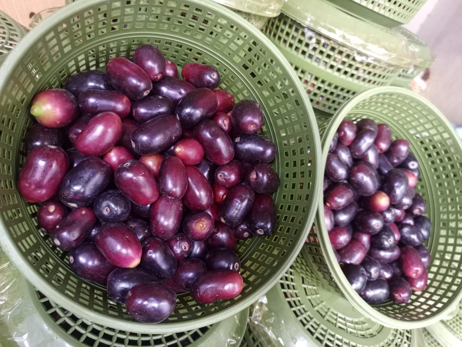 Jamun (Java Plum) – Fresh