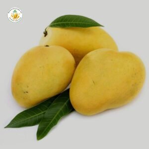 White Chaunsa Mango – Premium Quality